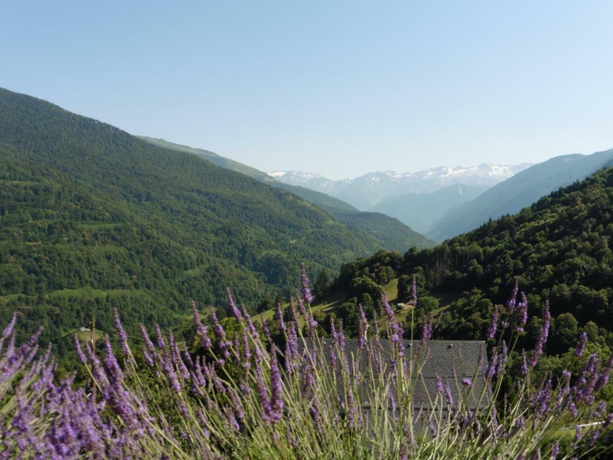 Chalet De Barraou Bed & Breakfast Binos Eksteriør bilde
